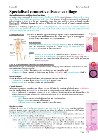 10 Pdf 10 Pdf