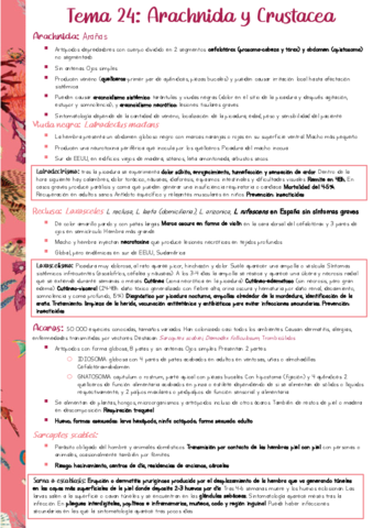 Resumen-PARA-T24.pdf