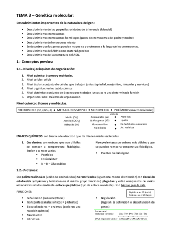 TEMA-3-GENETICA-MOLECULAR.pdf