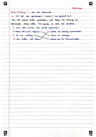 Allein-zu-Hause 1.pdf