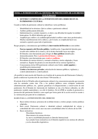 TEMA-1-proteccion.pdf