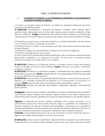 TEORIA DEL DERECHO (GUIA Y APUNTES).pdf