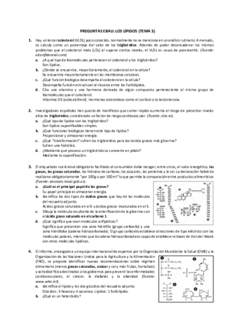 T3Lipidos.pdf