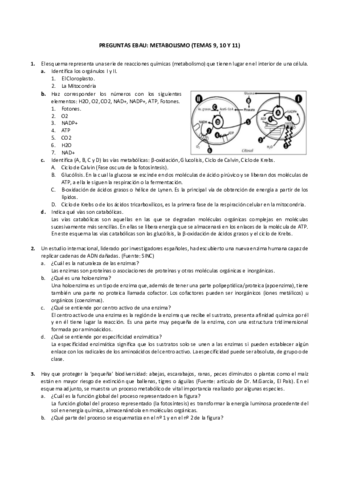 T91011Metabolismo.pdf