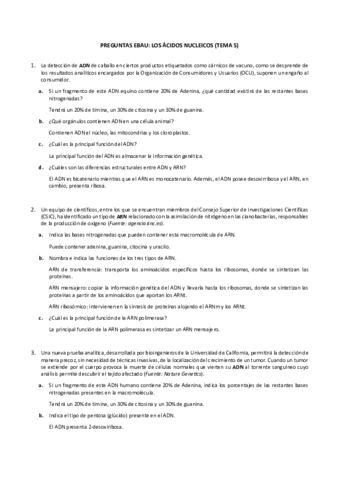 T5AcidosNucleicos.pdf