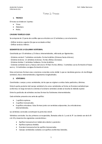 Tema-2.pdf