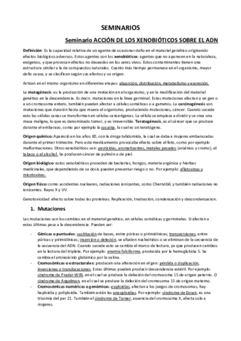 SEMINARIOS.pdf