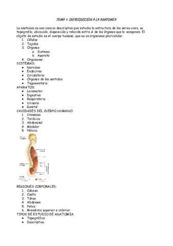 Bloque-1-anatomia.pdf