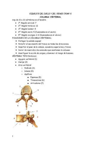 Bloque-3-Anatomia.pdf