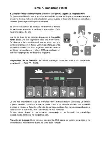 Tema-7-1.pdf