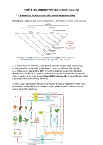 TEMA-1-2.pdf