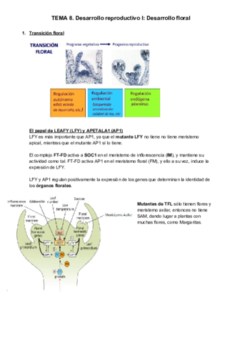 TEMA-8-1.pdf