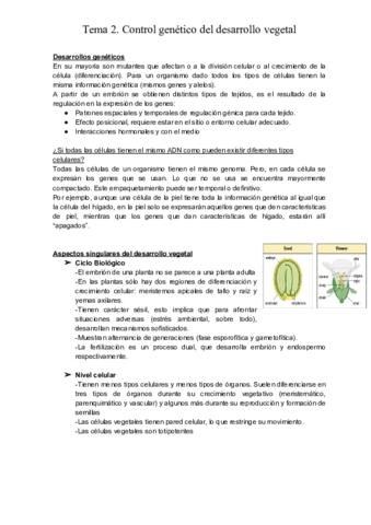 TEMA-2-2.pdf
