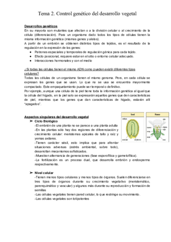 TEMA-2-2.pdf