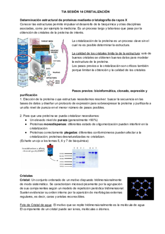 TIA-SESION-14-CRISTALIZACION.pdf