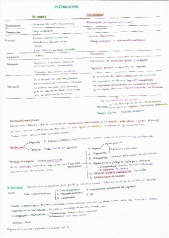 Apuntes-y-esquemas-Metabolismo-Secundario-de-las-Plantas.pdf