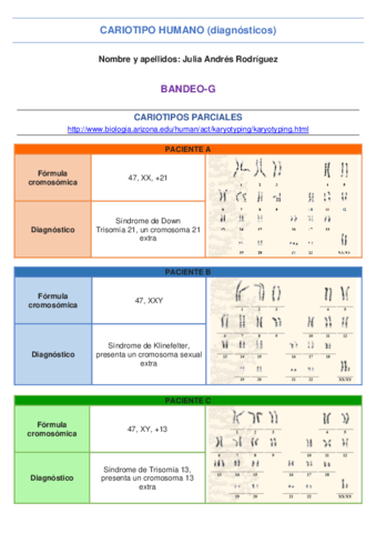 Practica-cariotipo.pdf