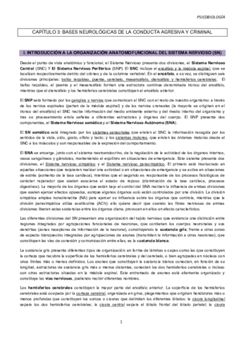 CAPITULO-3.pdf