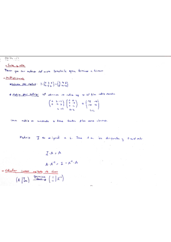 MATRICES.pdf