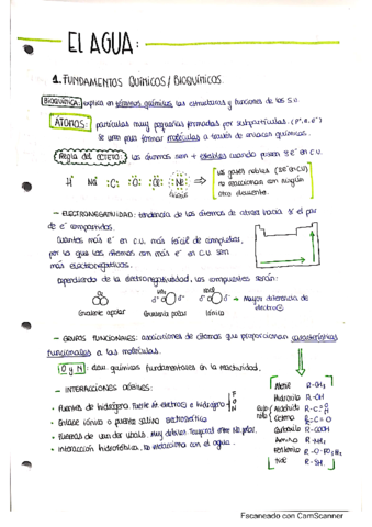 Bioquimica.pdf