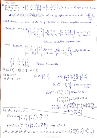 Examen-evau-2020-julio-ejs-123-mates.pdf