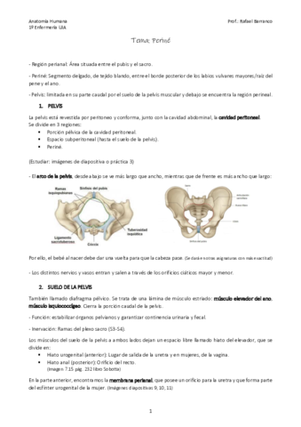 Tema-Perine.pdf