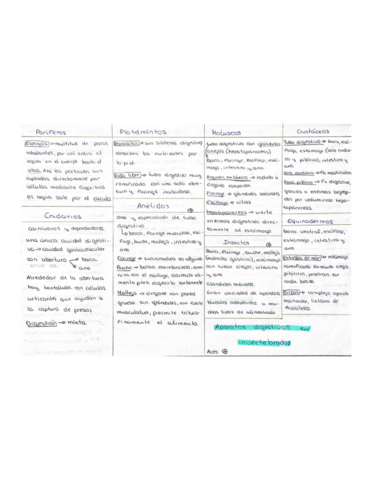 Aparatos-en-aninales.pdf