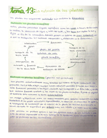 Nutricion-de-plantas.pdf