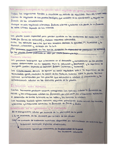 Relacion-de-plantas.pdf
