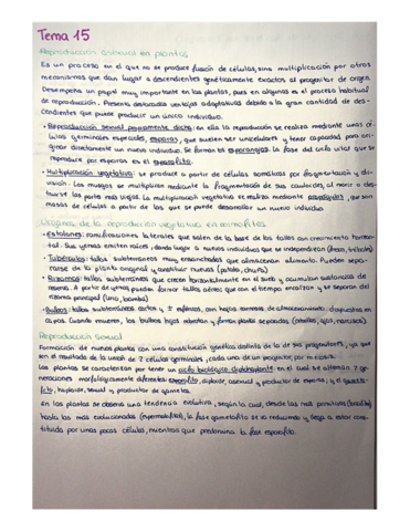 Reproduccion-de-plantas.pdf