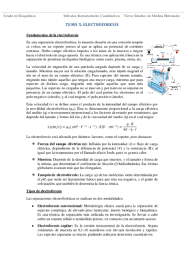 Tema 5. Electroforesis VSM.pdf