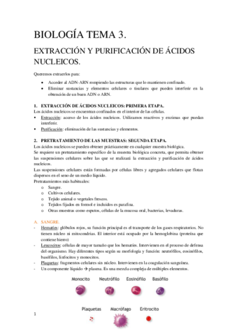 Tema 3 Biología Molecular y Citogenética.pdf