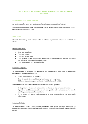 TEMA-4.pdf