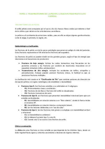 TEMA-5.pdf