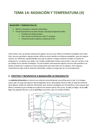 TEMA-14.pdf