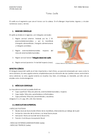 Tema-Cuello.pdf