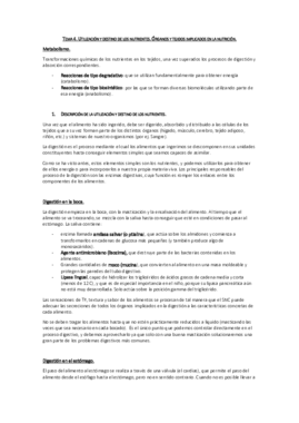 Tema 4. Utilización y destino de los nutrientes.pdf