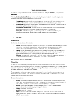 Tema 5. Hidratos de carbono.pdf