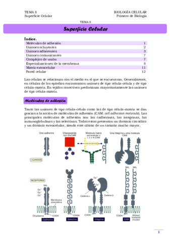 TEMA 8. Superficie celular