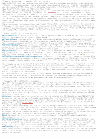 T2-Tecnicas-laboratorio.pdf