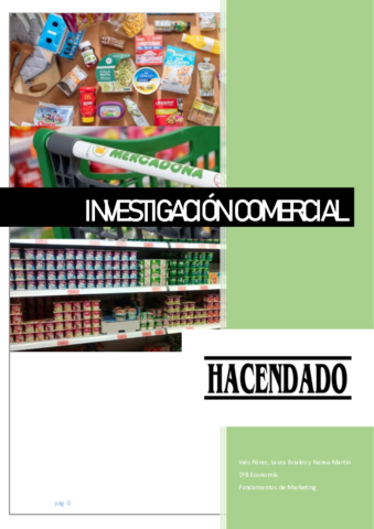 Investigacion-comercial-1B-ECO-.pdf