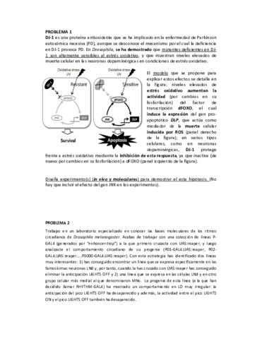 Pregunta-circadianos-y-estres-2014.pdf