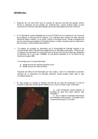 PUESTA-EN-COMUN-2.pdf