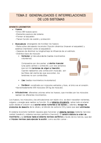 TEMA-2-Anatomia.pdf