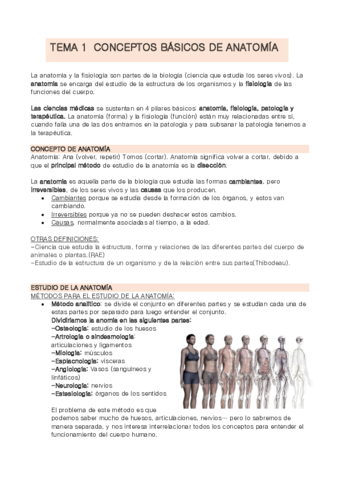 TEMA-1-Anatomia-14.pdf