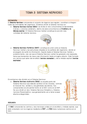 TEMA-3-anatomia.pdf