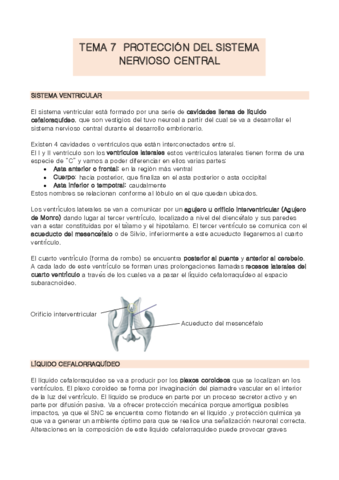 TEMA-7-anatomia.pdf