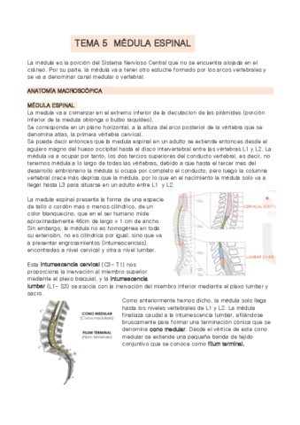 TEMA-5-anatomia.pdf