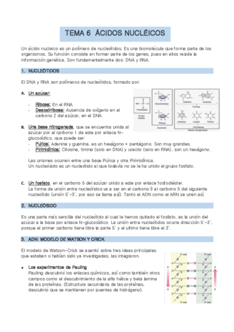 TEMA-6-bio-molec.pdf