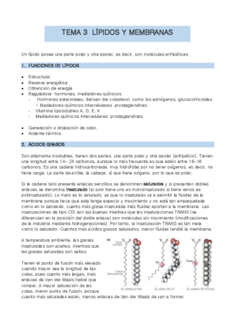 TEMA-3-bio-molec.pdf